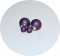 Серьги Dior фиолетовые матовые 925