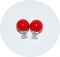 Серьги Dior с цирконом красные 925
