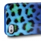 Чехол силиконовый Just Cavalli для iPhone 5S Леопард синий