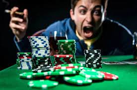 DBbet Casino